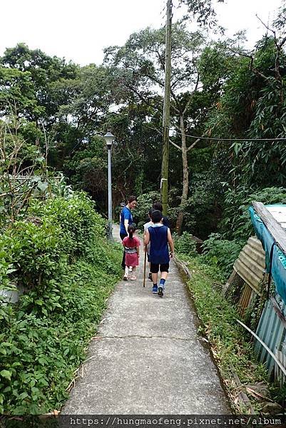 一起去爬山 --- 金面山環狀親山步道 （two）