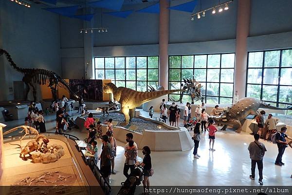 2020 台中安心旅遊 --- 台中國立自然科學博物館 &amp; 