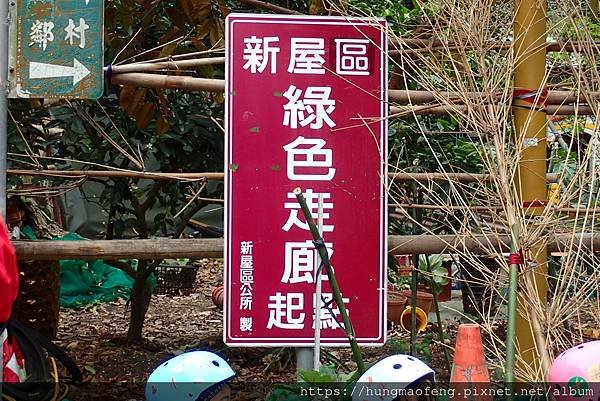 桃園新屋 --- 直排輪路溜初體驗