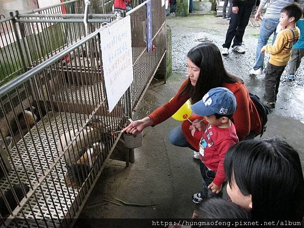 宜蘭貴婦團吃吃喝喝一日行 --- 紅樓櫻桃鴨、宜農牧場、宜蘭