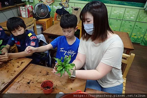 112 年母親節 --- 童子軍植物上板植栽 DIY／林口三