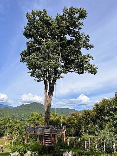 我的機車小壯遊~800Km泰北湄宏順圈