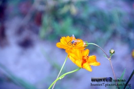 IMG_9918.jpg