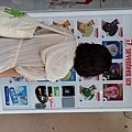 DSC_9214.jpg