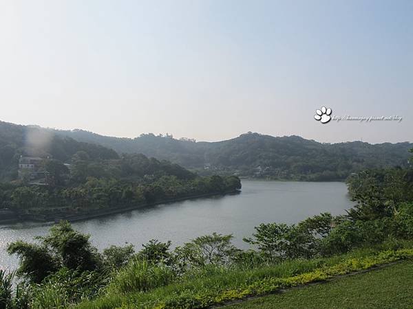 IMG_3734