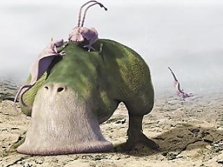 外星人