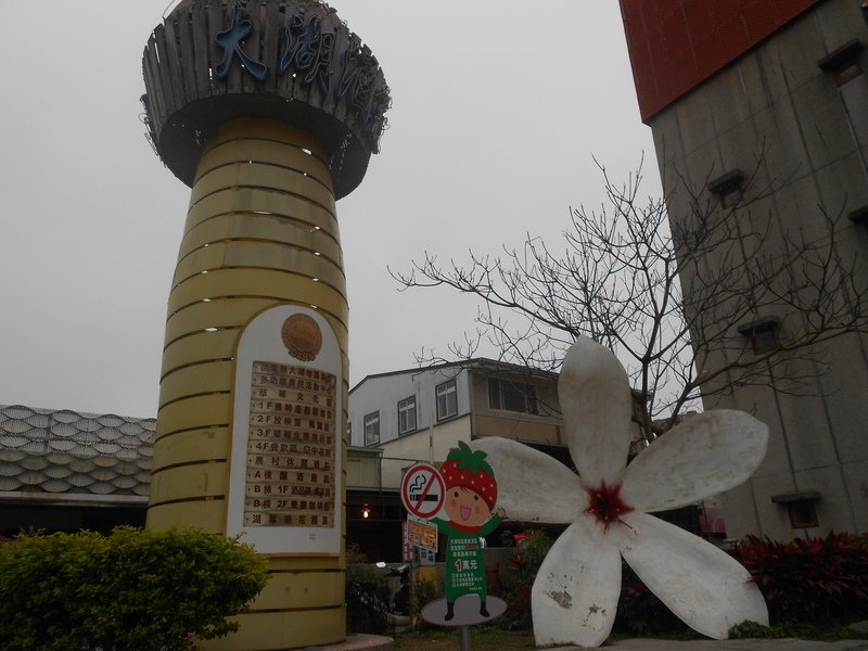 DSCN8666.JPG - 大湖草莓