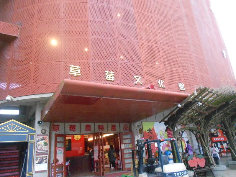 DSCN8667.JPG - 大湖草莓