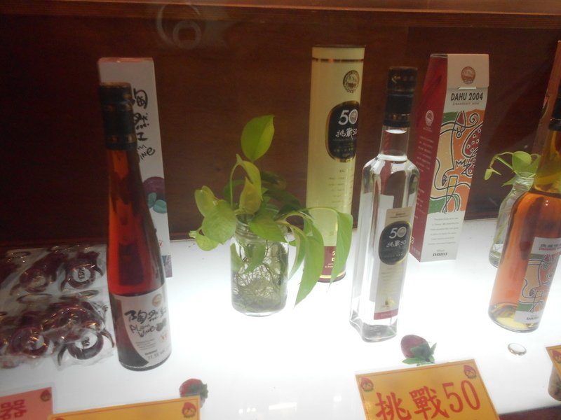 DSCN8688.JPG - 大湖草莓