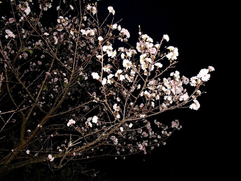 DSCN6496-0.jpg - 三空泉休閒農場