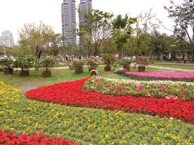 DSCN5879.JPG - 台北杜鵑花季