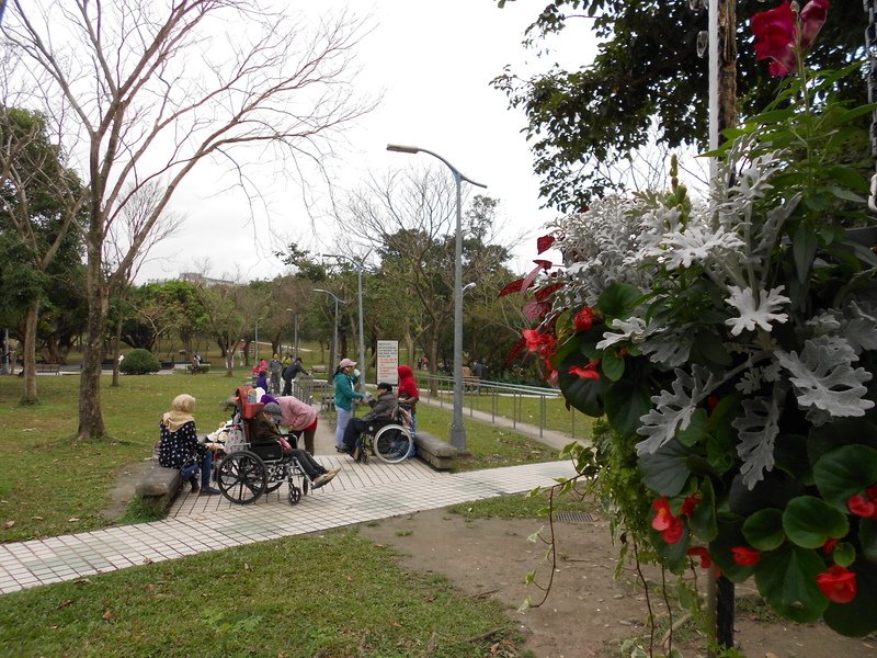 DSCN5912.JPG - 台北杜鵑花季