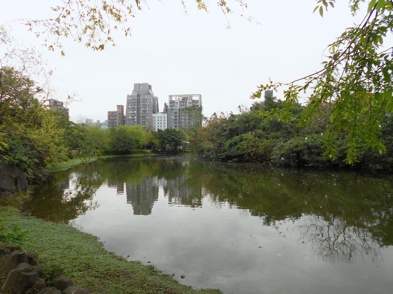 DSCN5907-0.jpg - 台北杜鵑花季