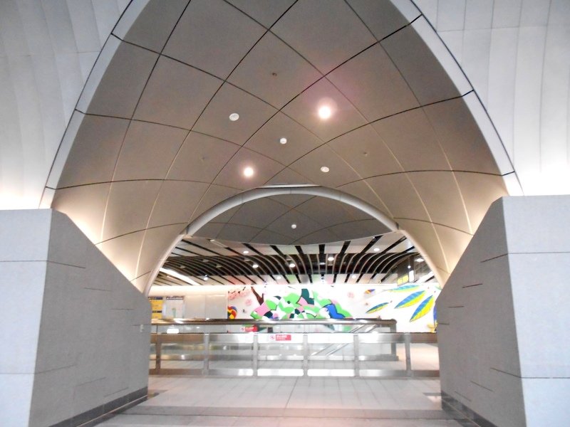 DSCN6027.JPG - 台北杜鵑花季