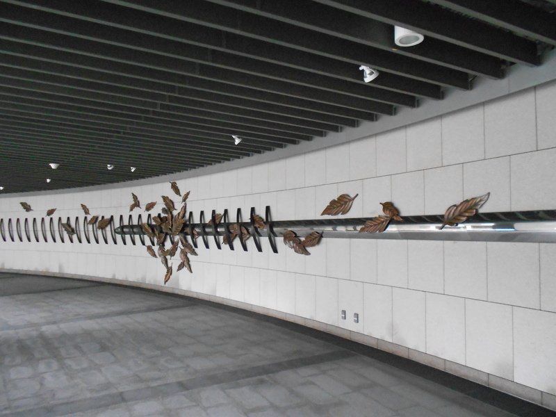 DSCN5990.JPG - 台北杜鵑花季