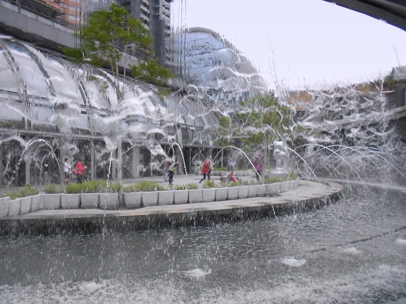 DSCN6005.JPG - 台北杜鵑花季
