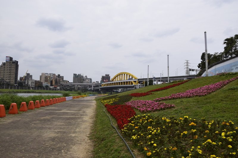 _DSC0634.JPG - 彩虹情鎖