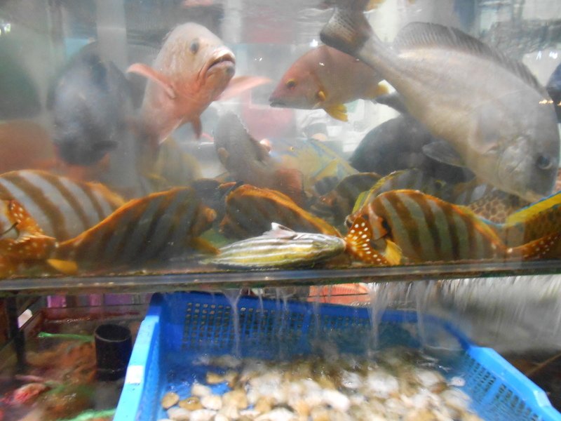 DSCN0657.JPG - 阿本海產店