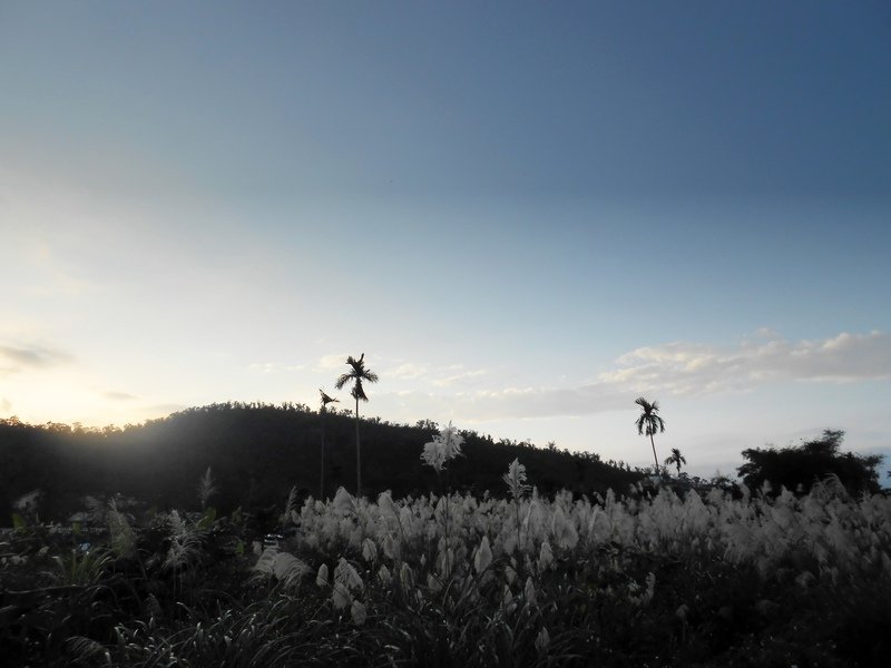 DSCN0527-0.jpg - 梅花湖