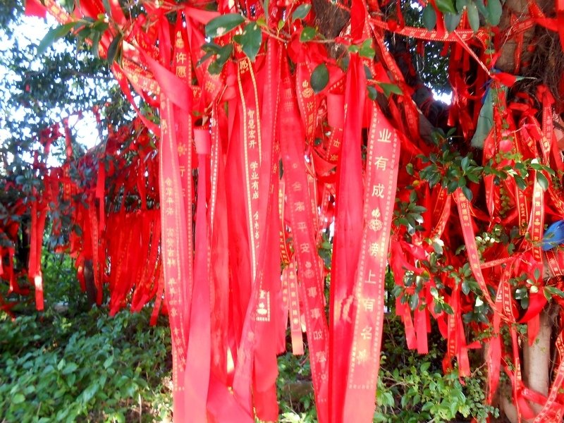 DSCN1073.JPG - 廈門行腳(4)