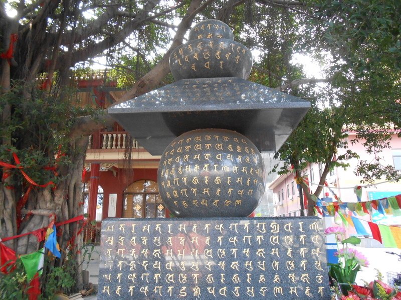 DSCN1038.JPG - 廈門行腳(4)