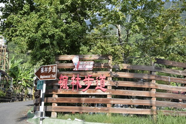 _DSC0309.jpg - 楓林步道