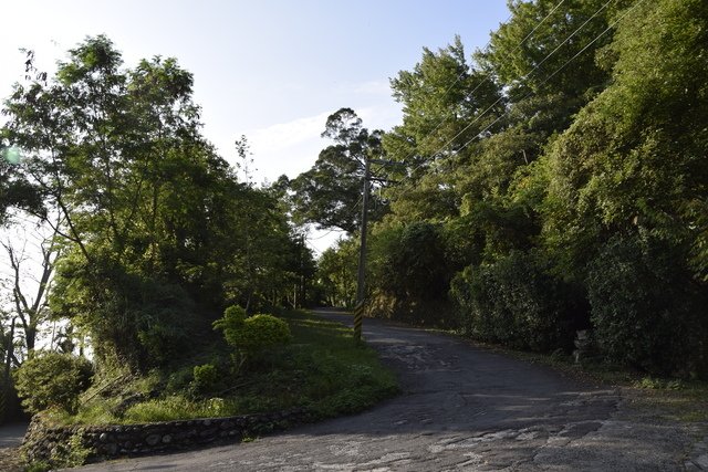 _DSC0266.jpg - 楓林步道