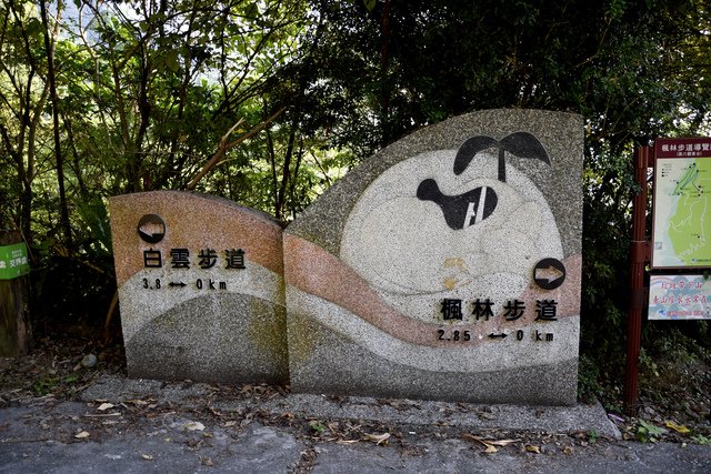 _DSC0261.jpg - 楓林步道