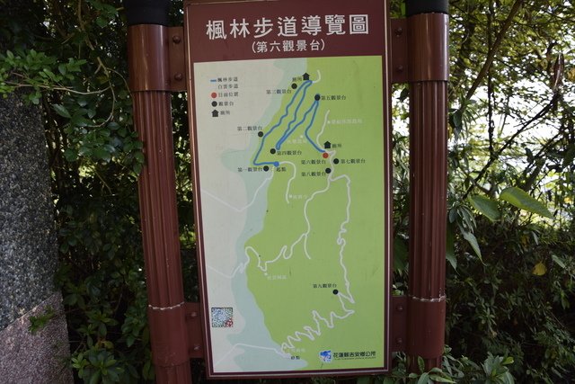 _DSC0262.jpg - 楓林步道