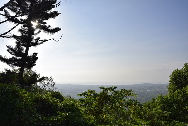 _DSC0285.jpg - 楓林步道