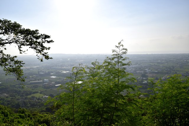 _DSC0302.jpg - 楓林步道