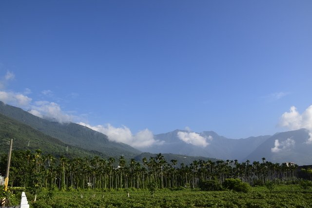 _DSC0313.jpg - 楓林步道