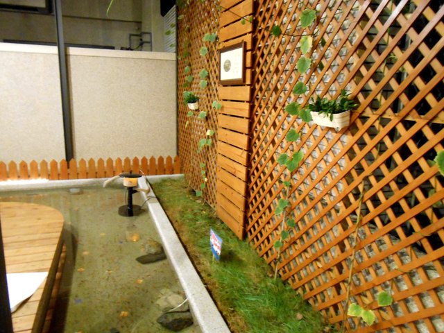 DSCN4220.jpg - 楓林步道