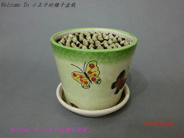 CIMG4336.JPG