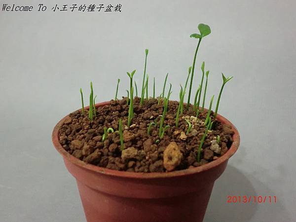 CIMG4450.JPG