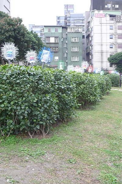 P1010746.JPG