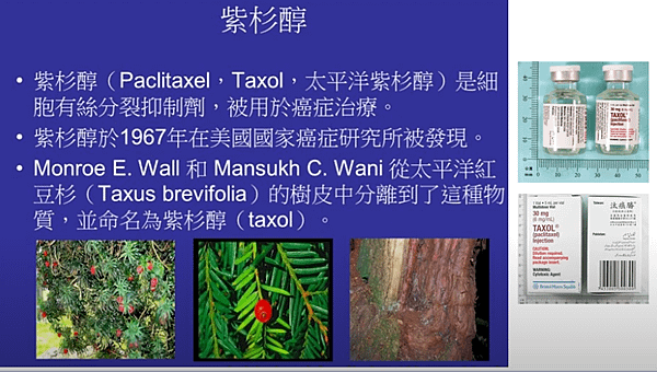 【乳癌教育防治講座】亞伯衫於轉移性乳癌之應用 01