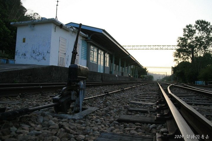 1550d4ea56e009.jpg