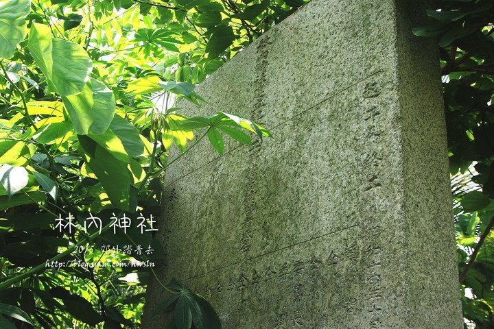 20140824 054.jpg