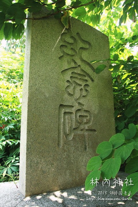 20140824 051.jpg