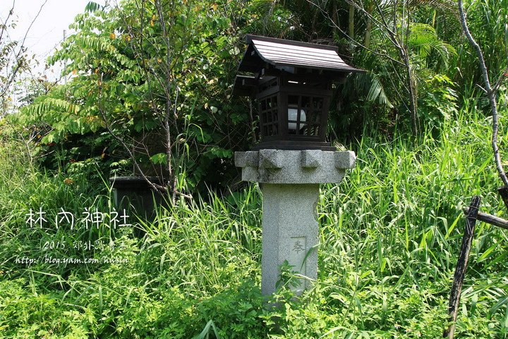 20140824 049.jpg