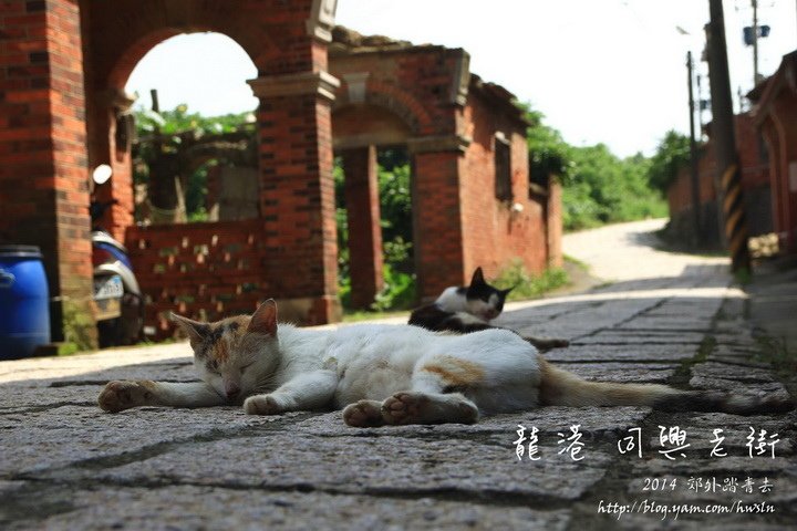 20140517 337.jpg