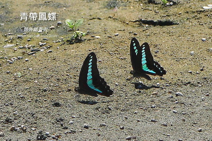 20160702 175.jpg