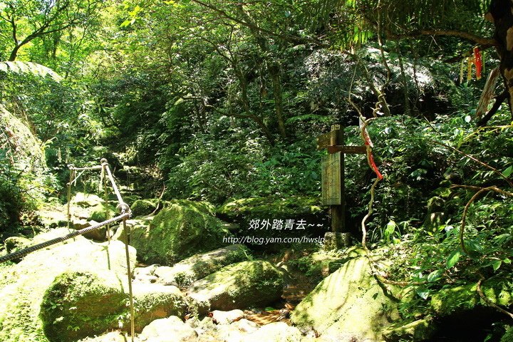 20160604 197.jpg