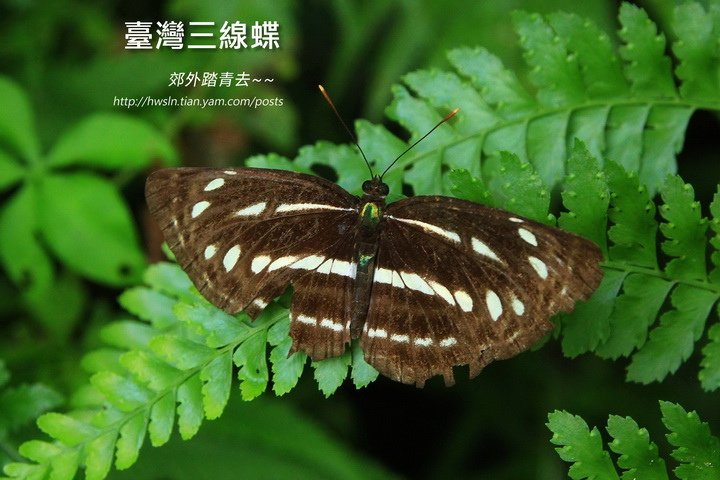 20160723 210.jpg
