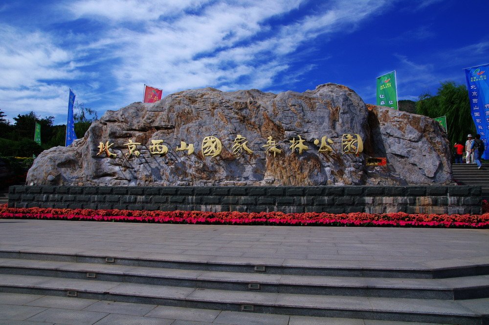 20130106025030216.jpg