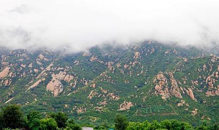 Img1501317_f