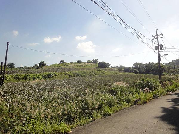 20140713東照山006