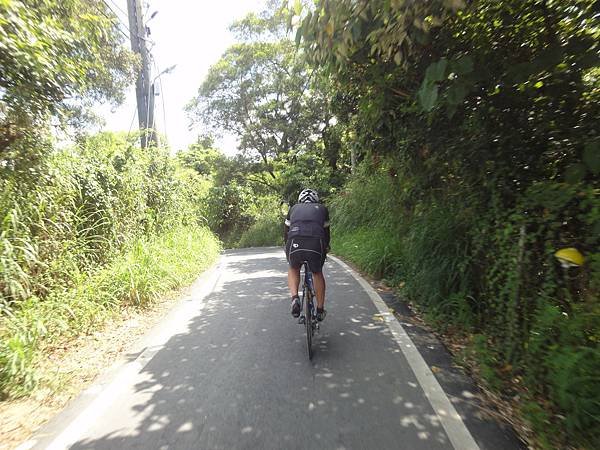 20140713東照山010