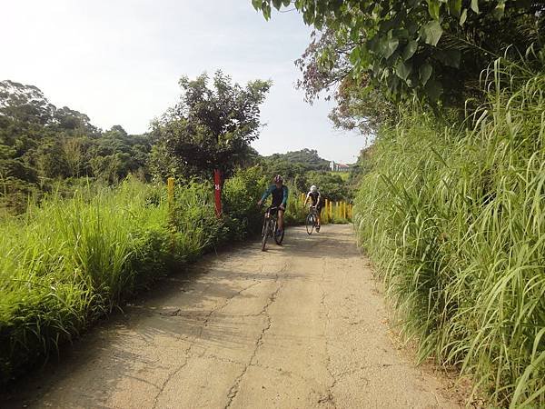 20140727東照山014